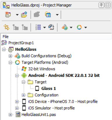 HelloGlassProjectManager