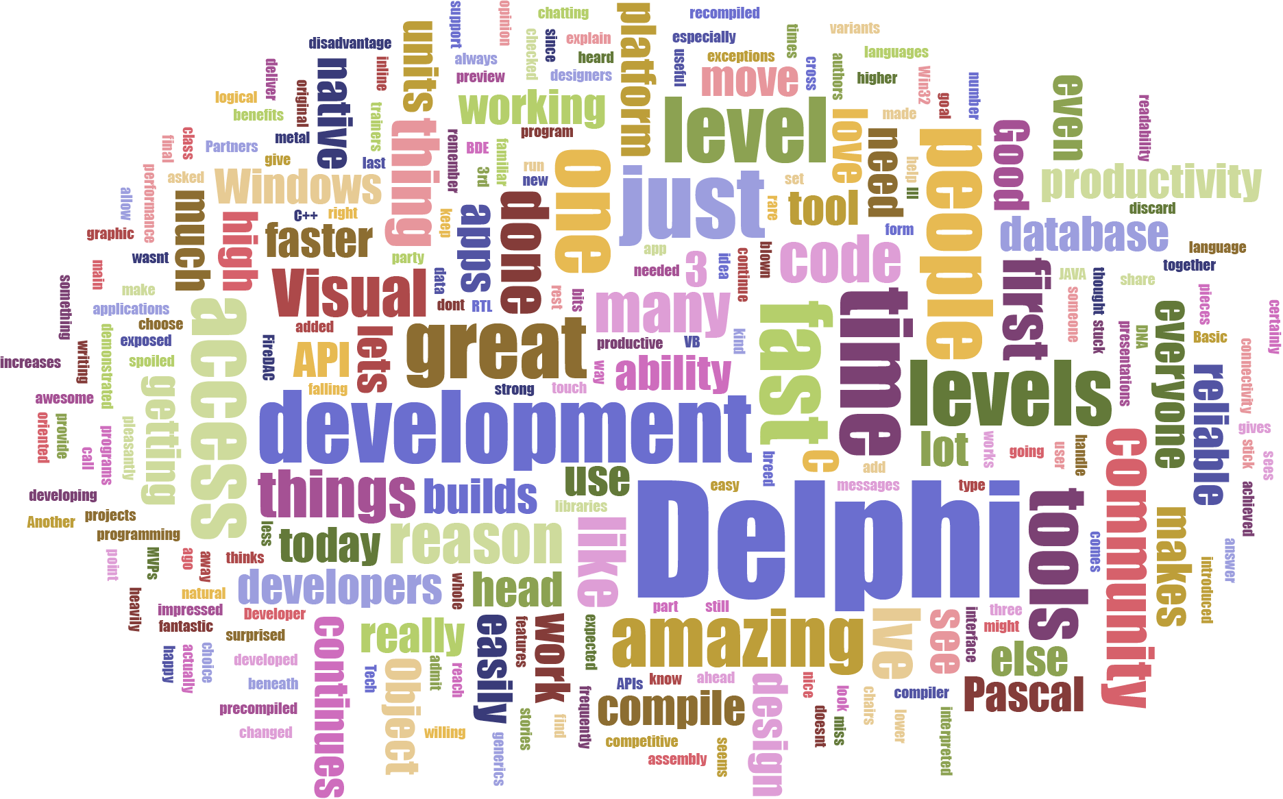 Delphi DNA Wordcloud